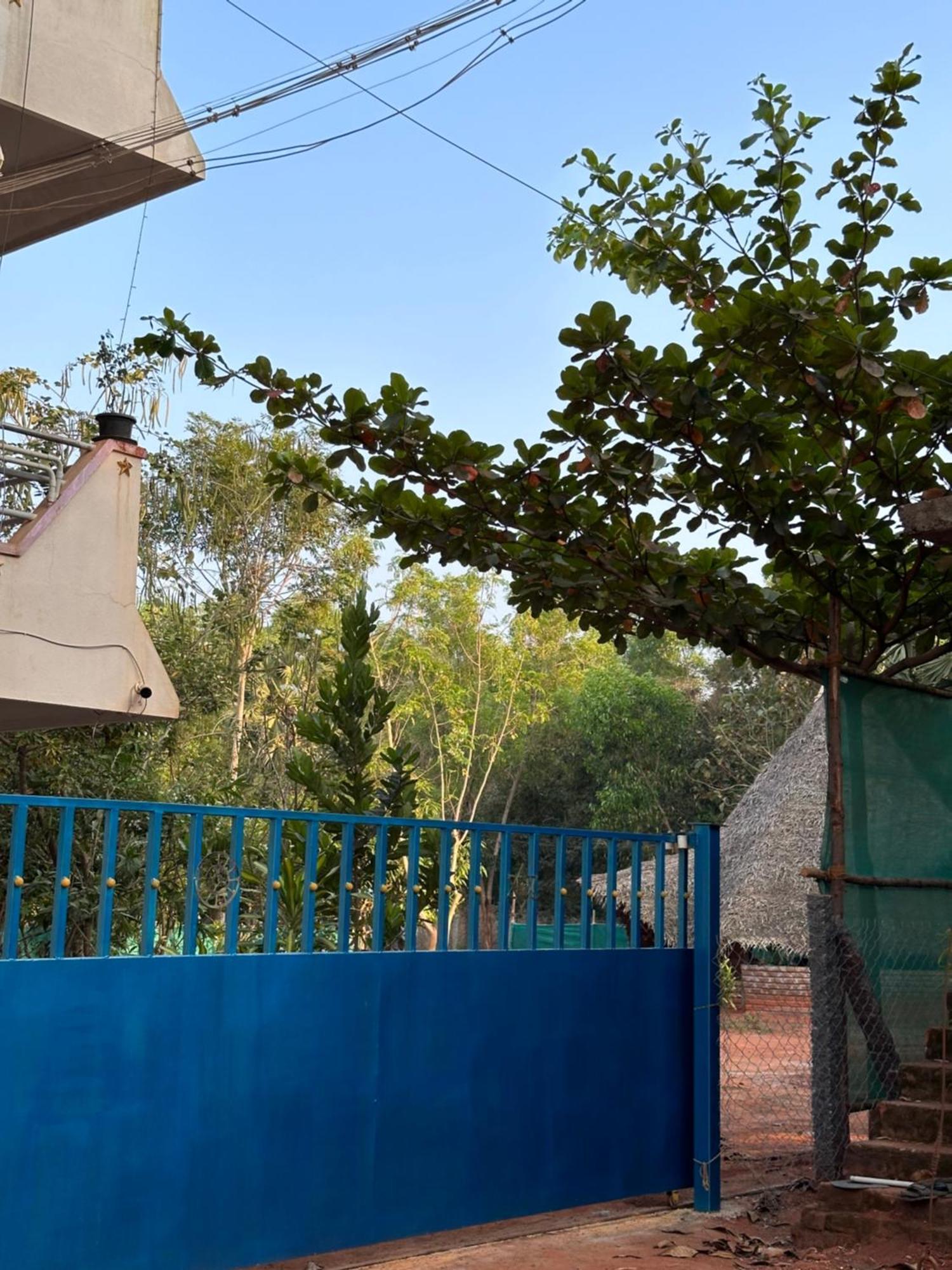 Lotus Garden Guest House Auroville Dış mekan fotoğraf