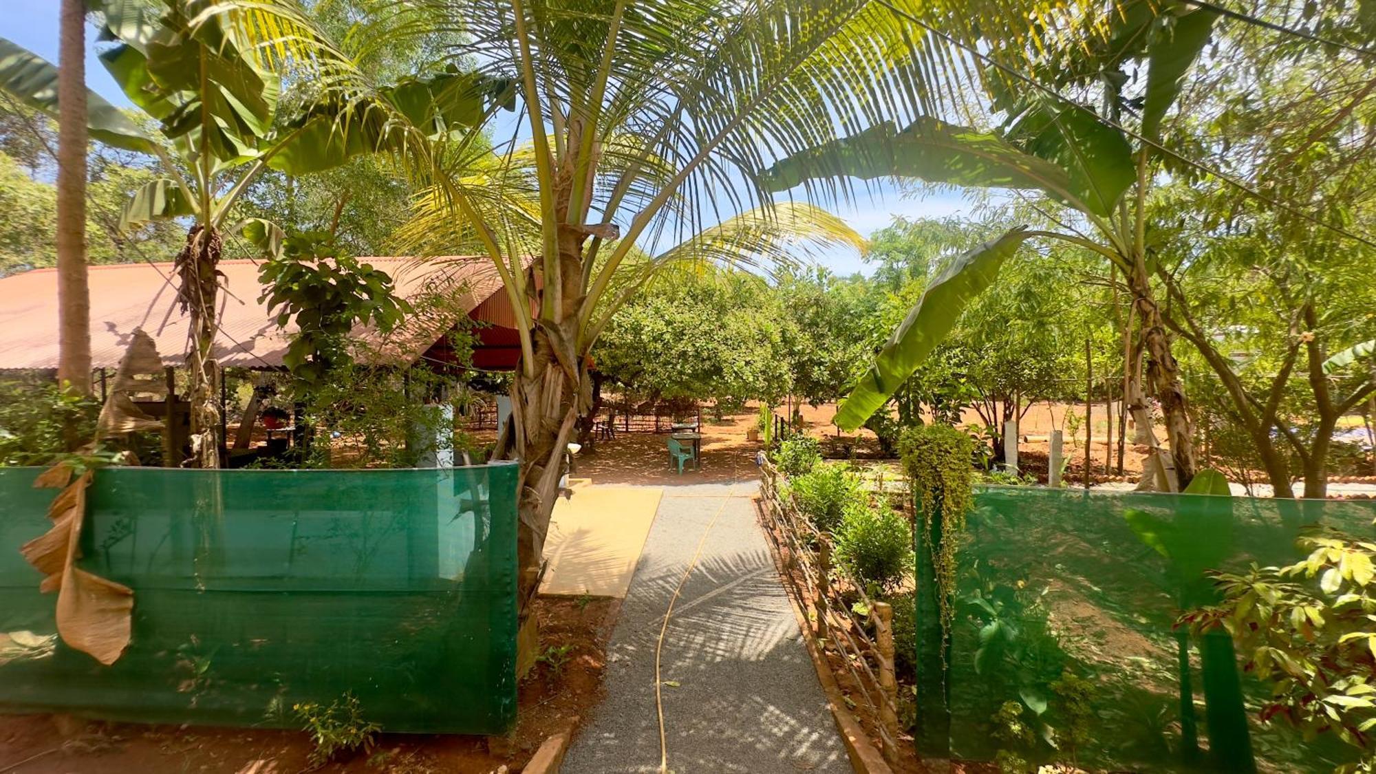 Lotus Garden Guest House Auroville Dış mekan fotoğraf
