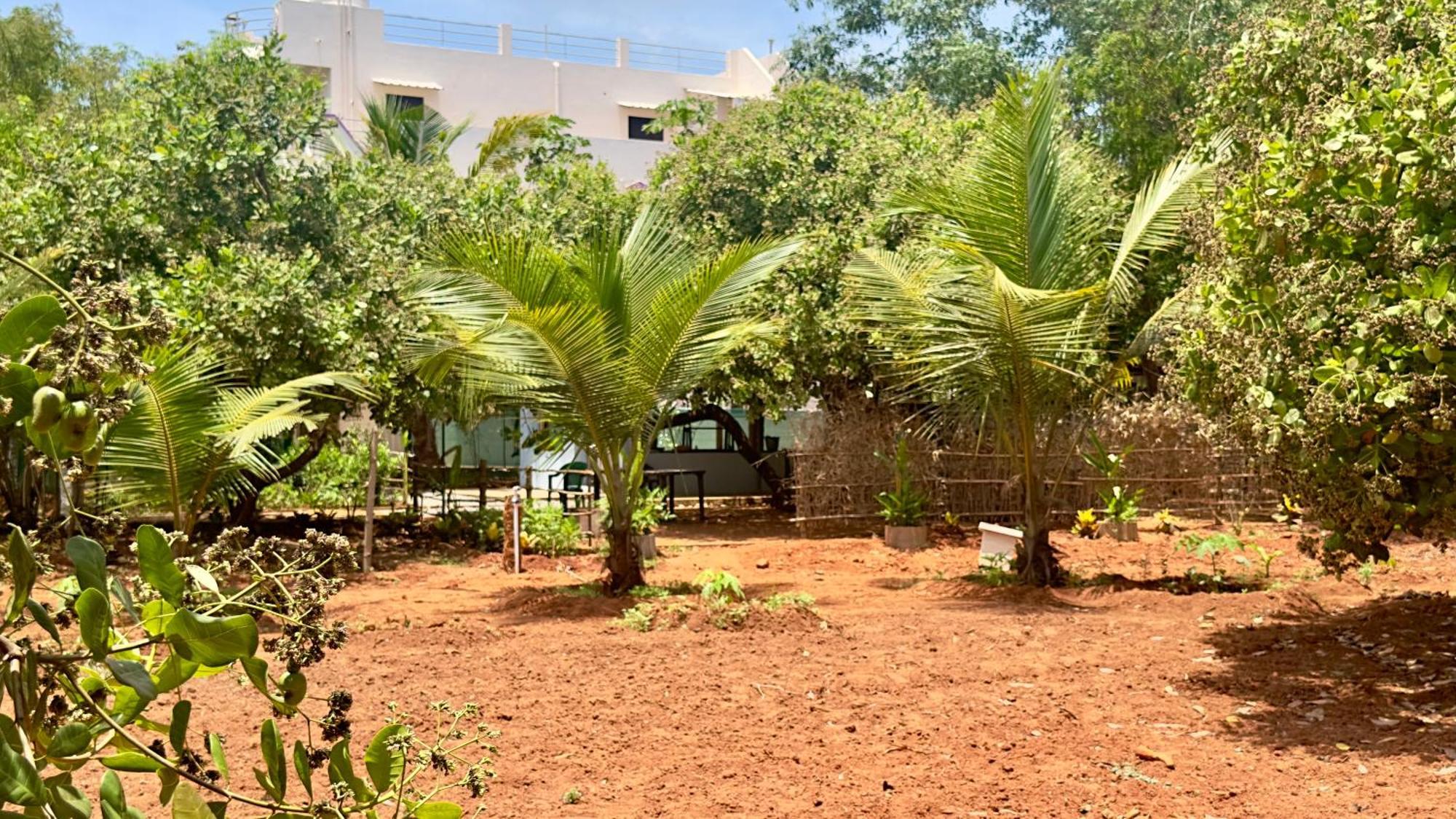 Lotus Garden Guest House Auroville Dış mekan fotoğraf