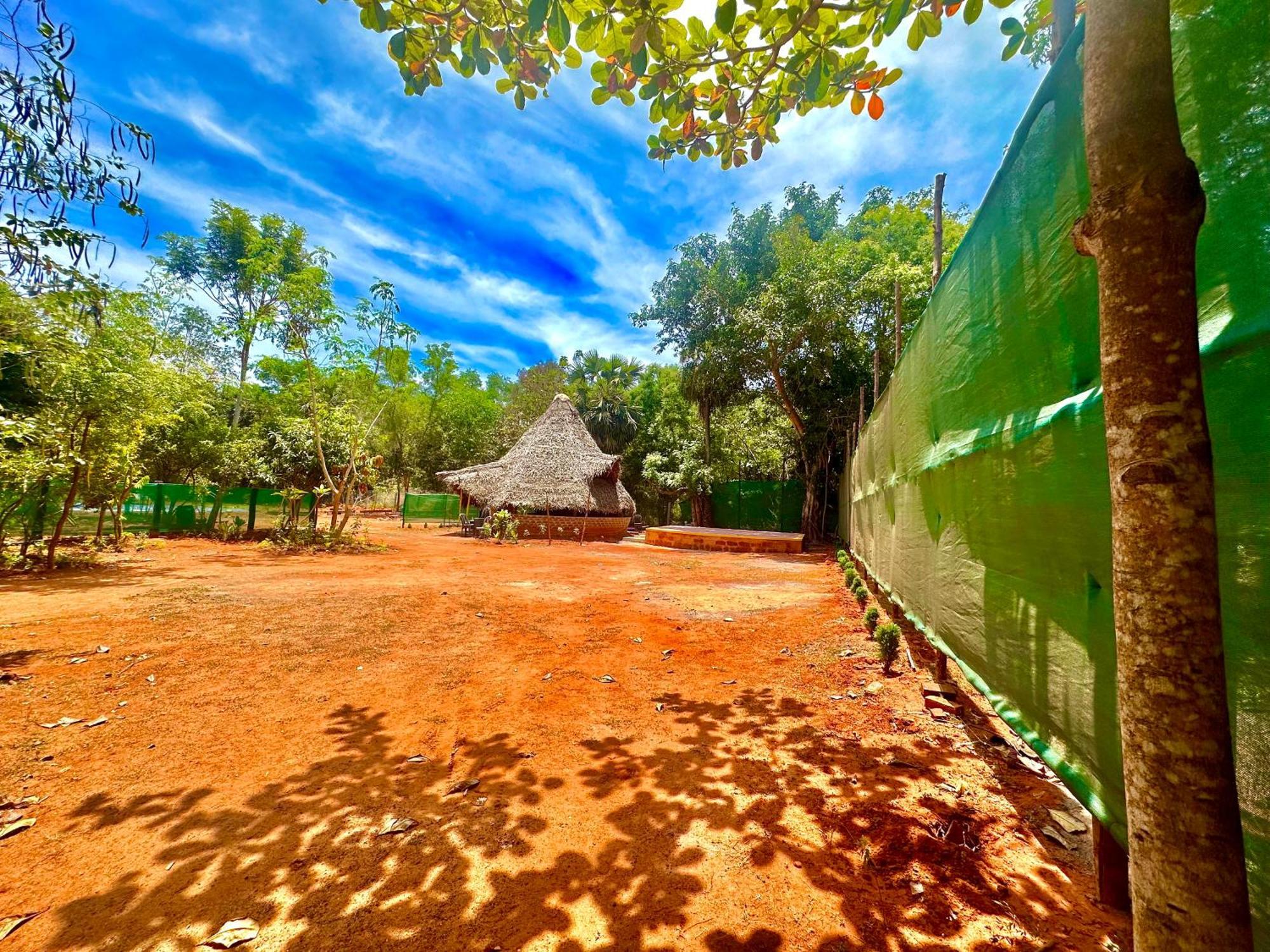 Lotus Garden Guest House Auroville Dış mekan fotoğraf