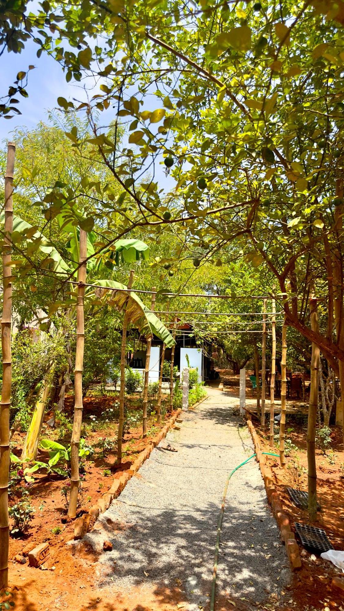 Lotus Garden Guest House Auroville Dış mekan fotoğraf