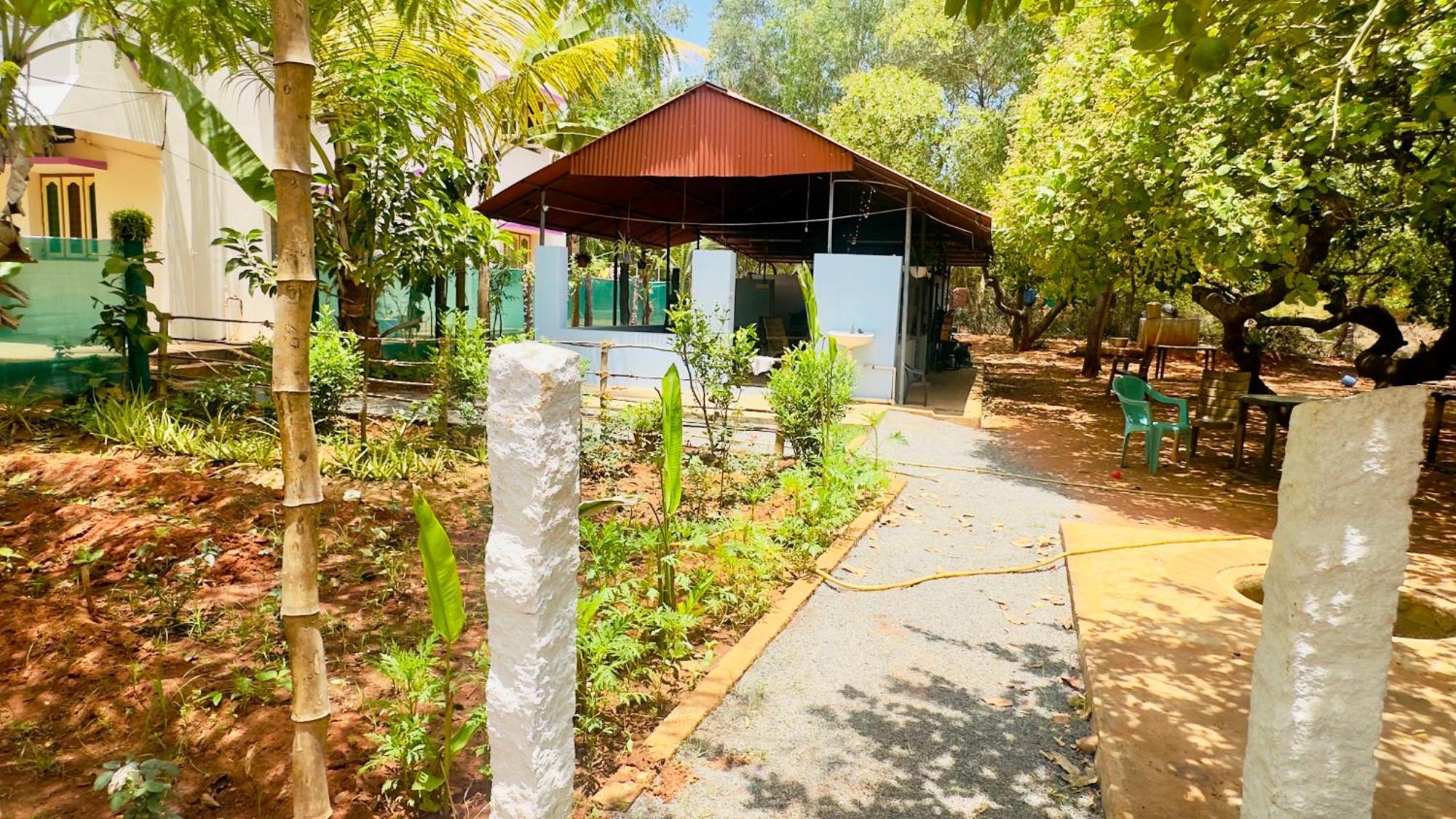 Lotus Garden Guest House Auroville Dış mekan fotoğraf