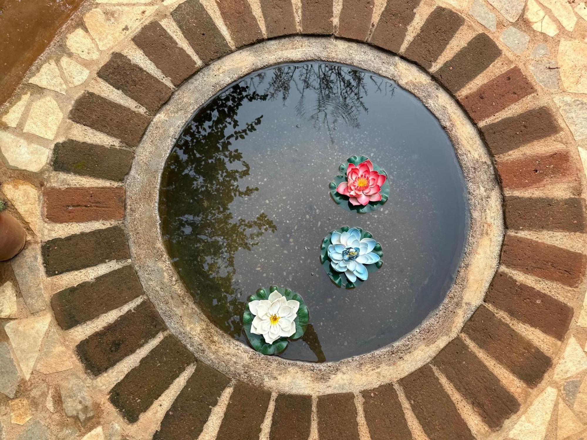 Lotus Garden Guest House Auroville Dış mekan fotoğraf