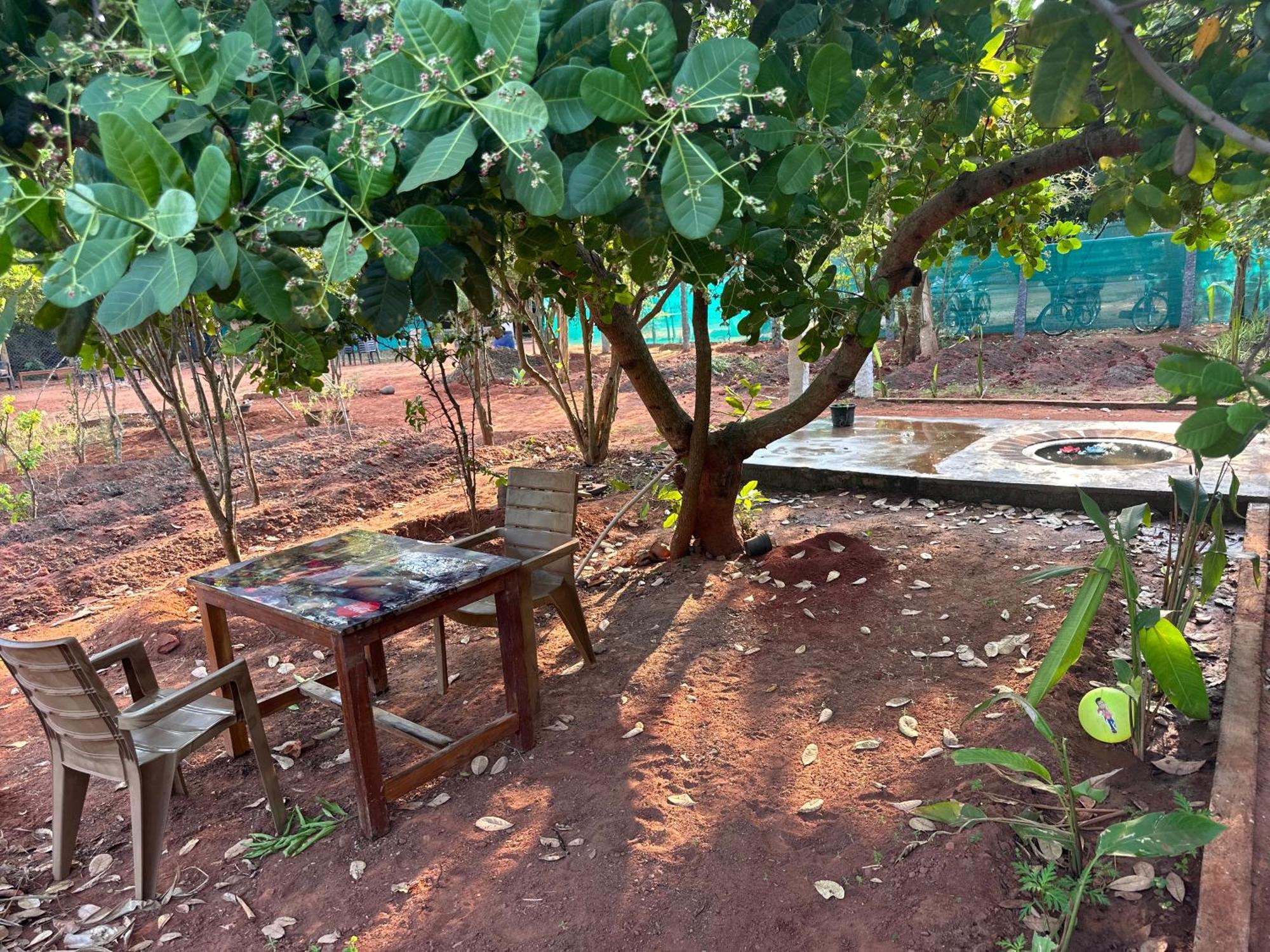 Lotus Garden Guest House Auroville Dış mekan fotoğraf