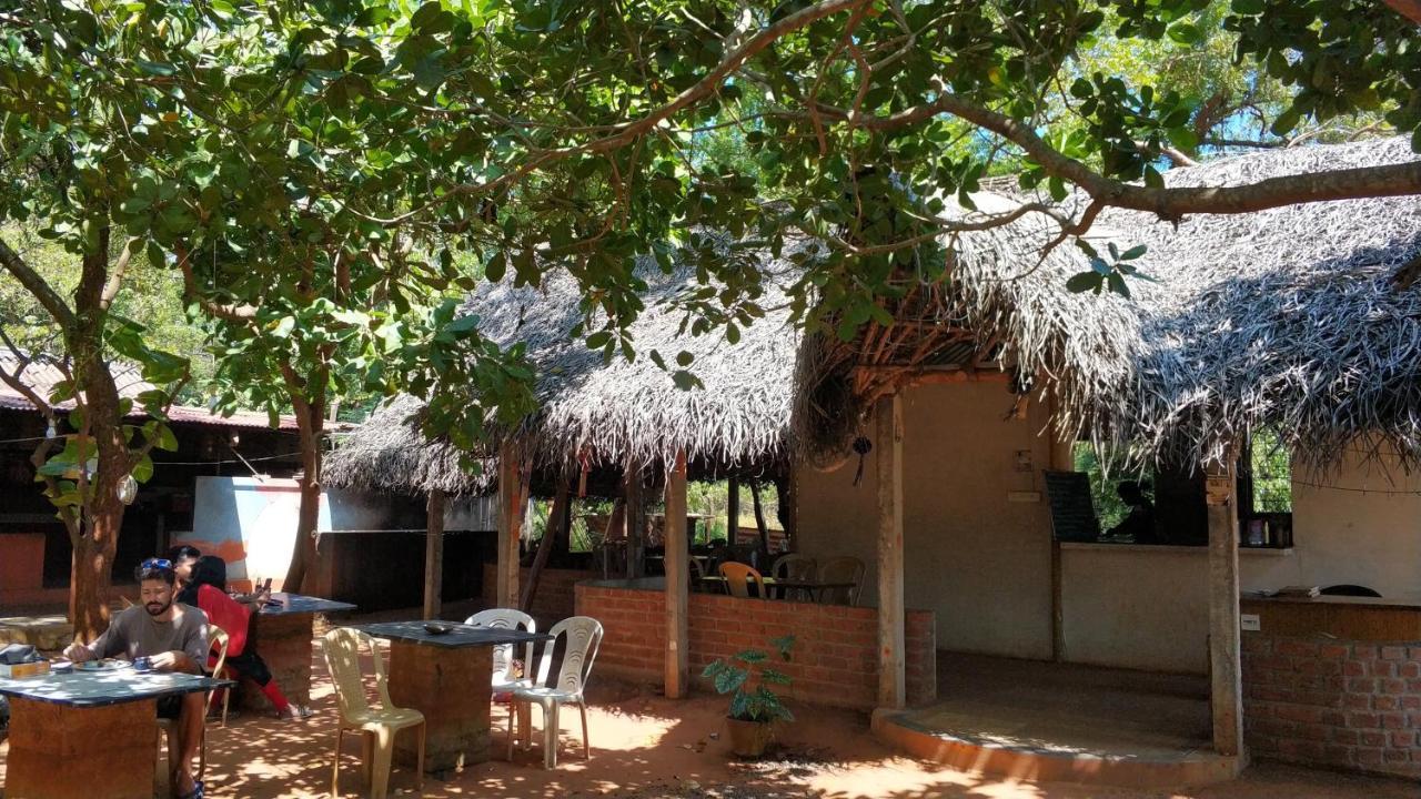 Lotus Garden Guest House Auroville Dış mekan fotoğraf